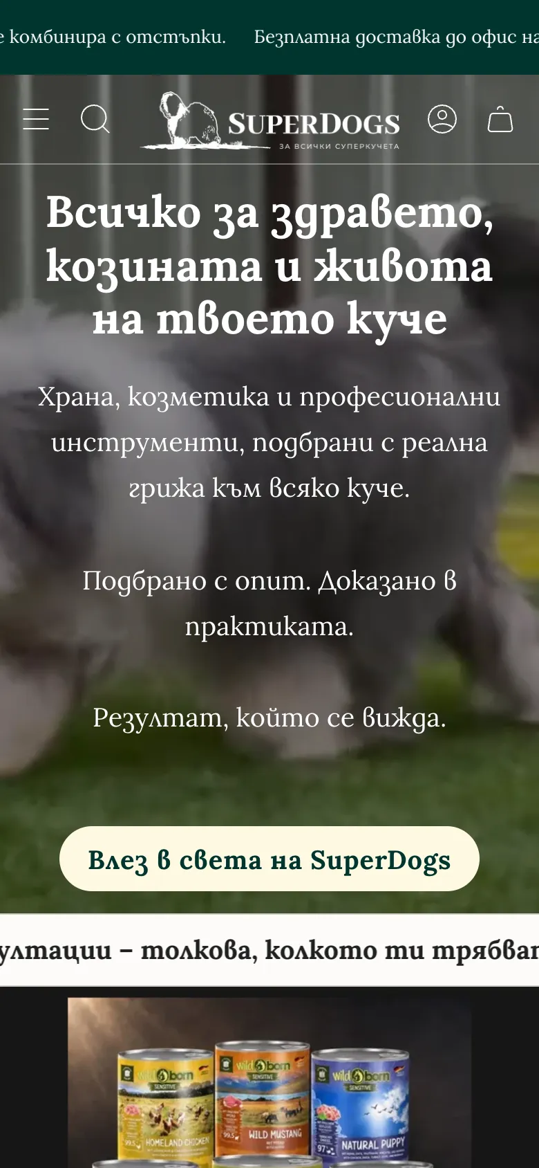 The homepage on a phone: the headline over the photo of the dog, and a button into the world of SuperDogs